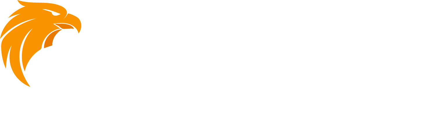 Golden Eagle Consulting - Business Solutions & Strategic Consulting